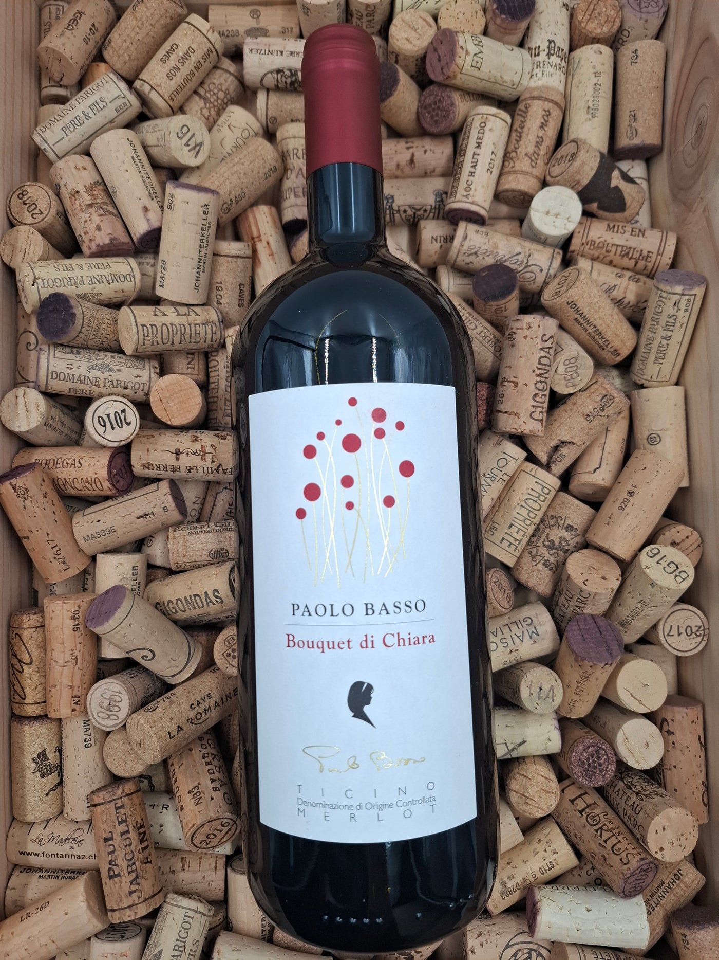 Tessin |  Il Bouquet di Chiara Merlot DOC 150cl | 2021