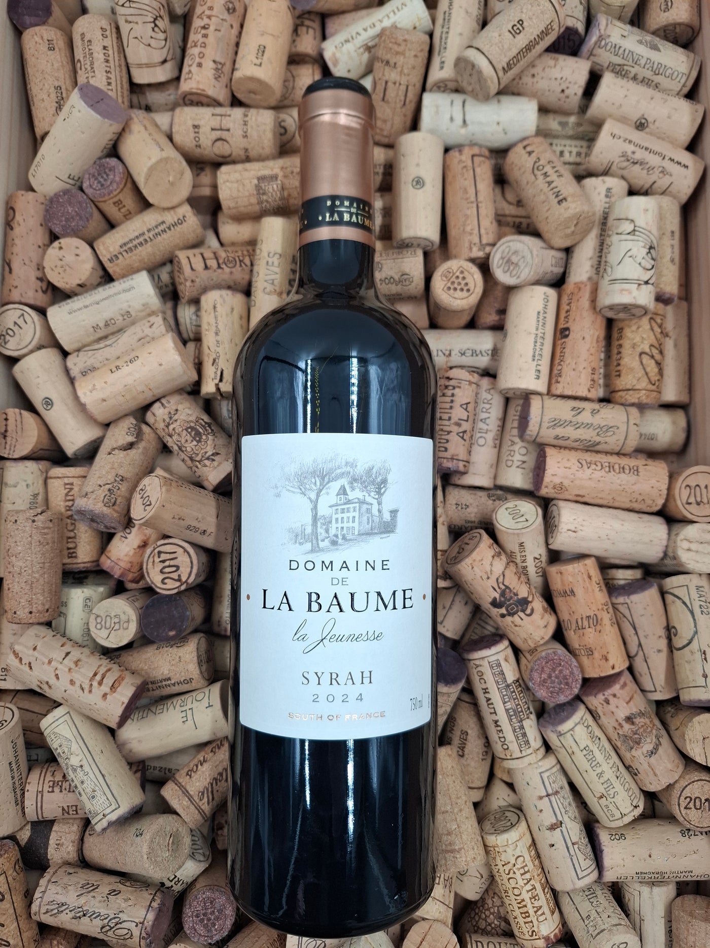 Languedoc-Roussillon| Domaine de la Baume, Syrah 75cl | 2024