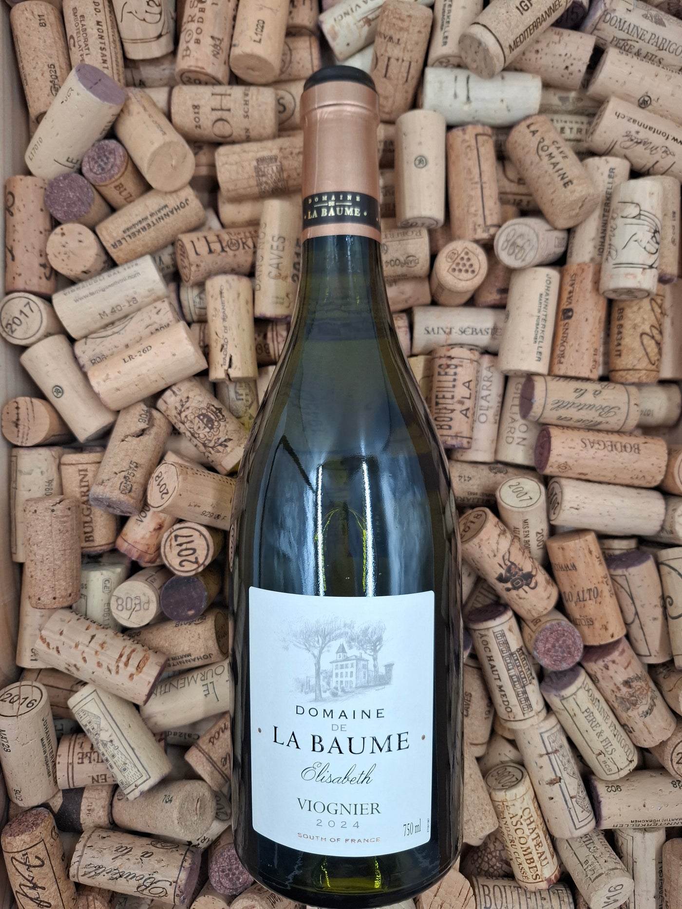 Languedoc-Roussillon| Domaine de la Baume, Viognier 75cl | 2024