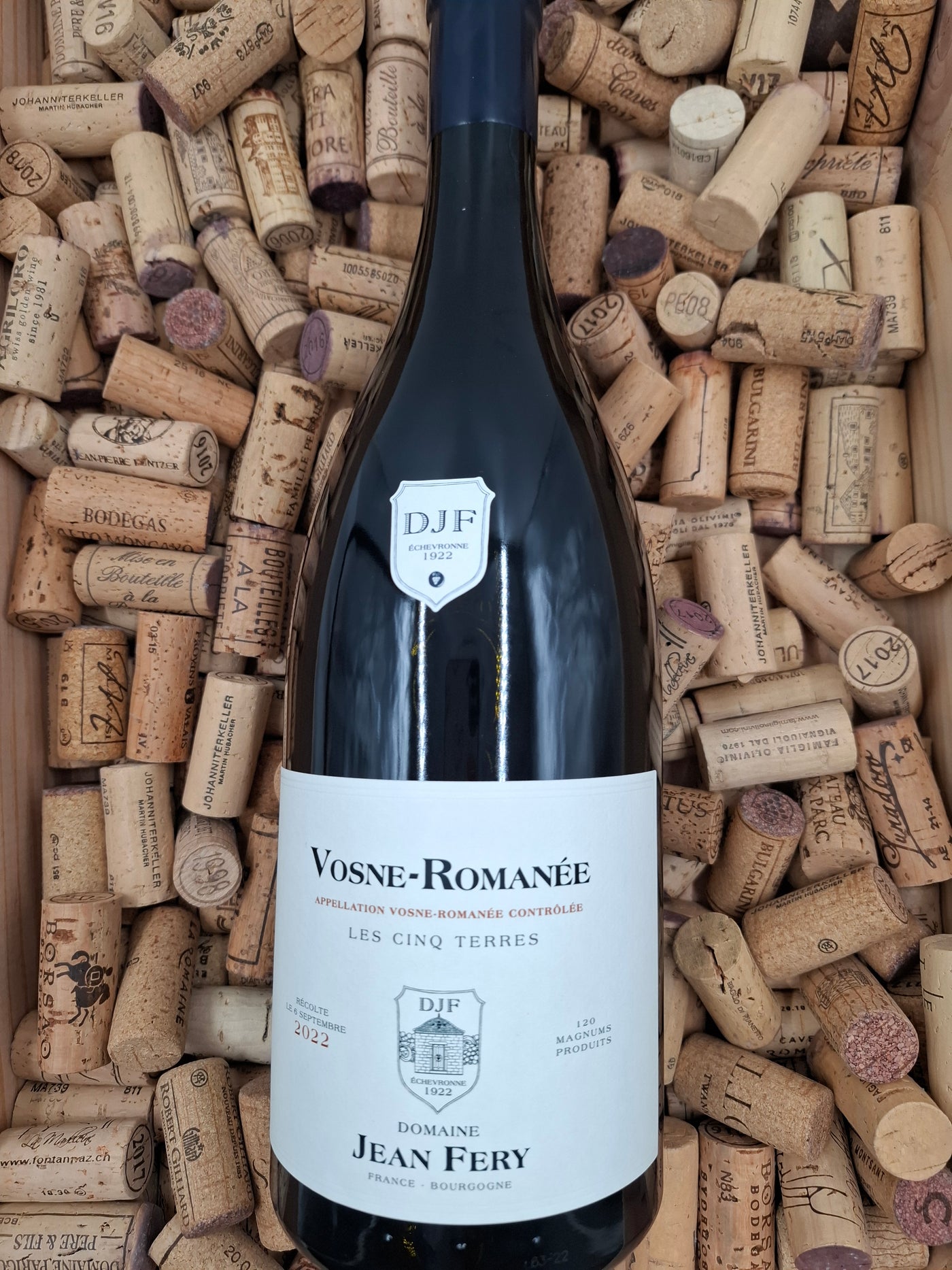 Bourgogne | Jean Fery | Vosne Romanée 150cl | 2022