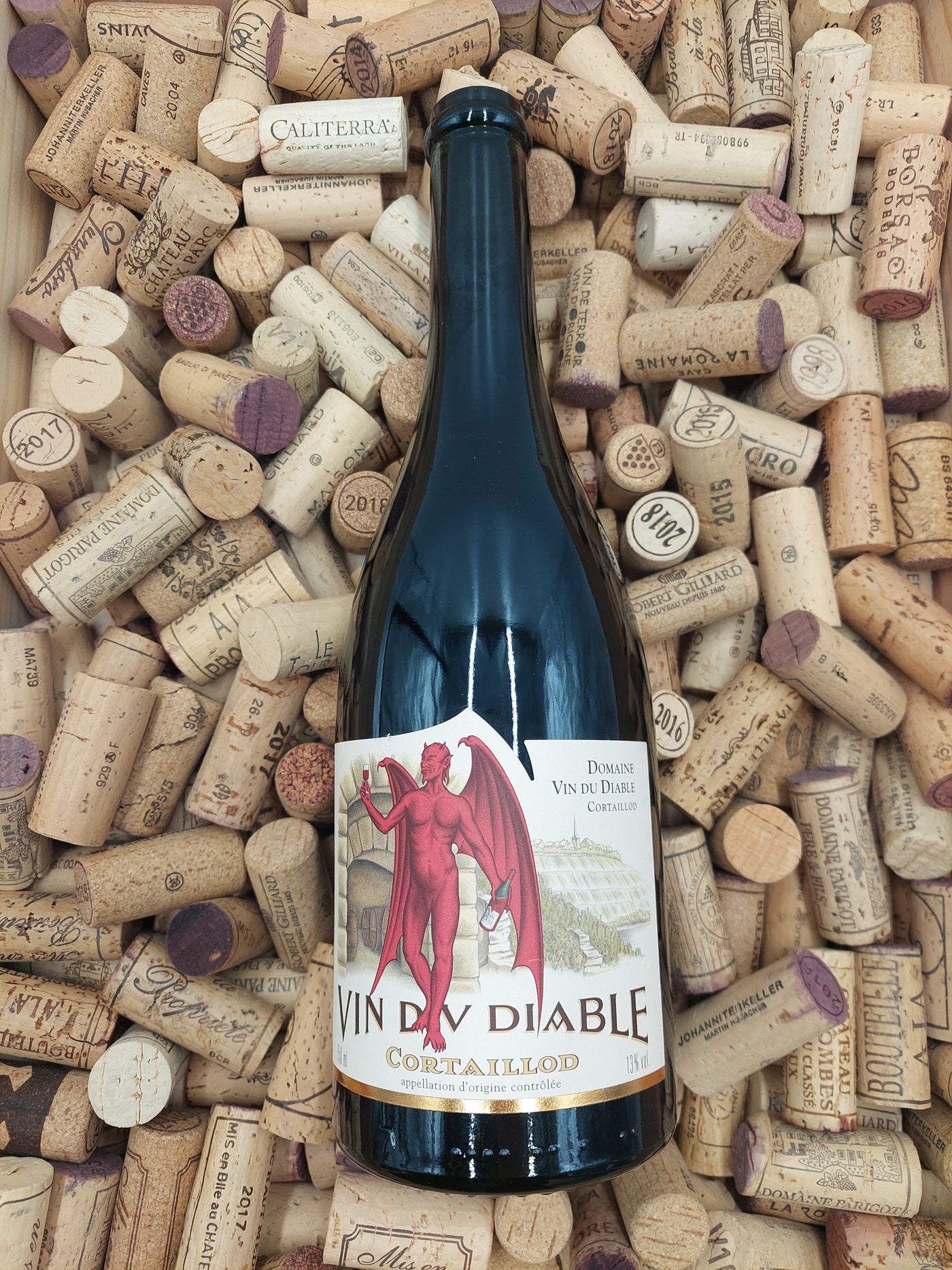 Neuchâtel | Vin du Diable Pinot Noir NE AOC 75cl | 2022